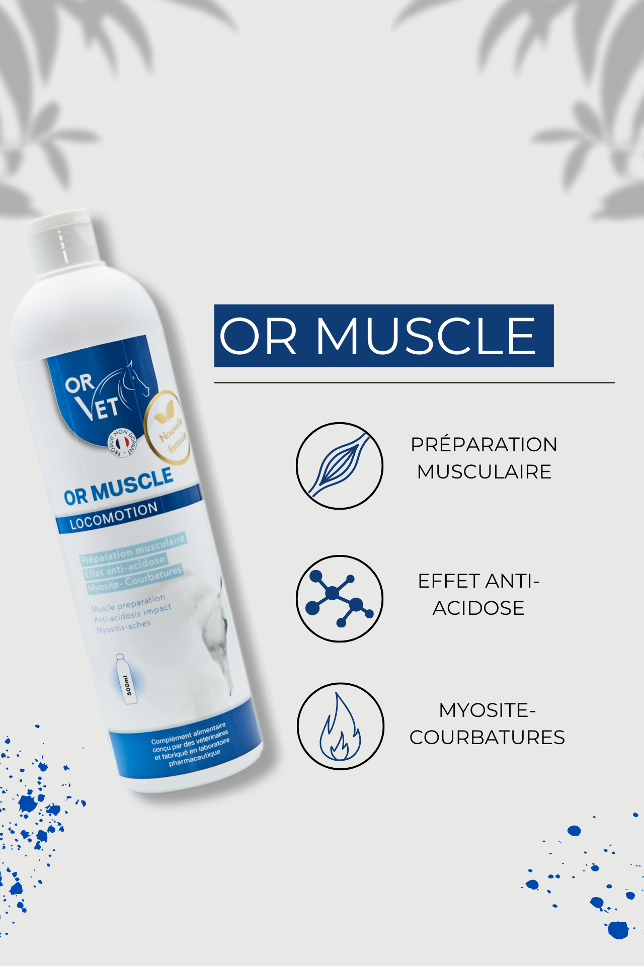 OR MUSCLE