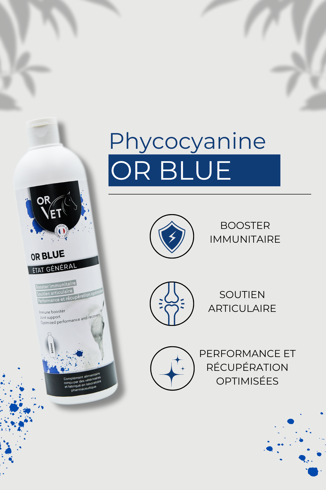OR BLUE