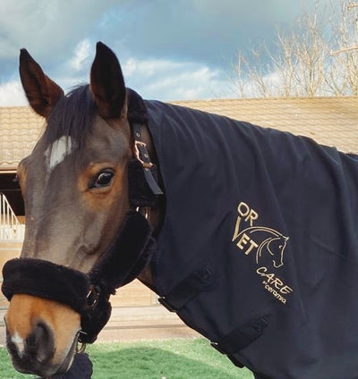 Ceramic horse neck cover