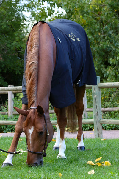 Couverture céramique cheval