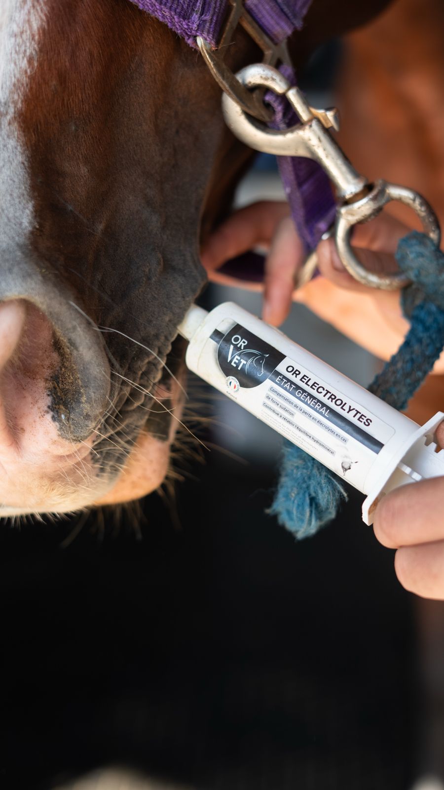 OR ELECTROLYTES - seringue (photo de Chloé Michellier)