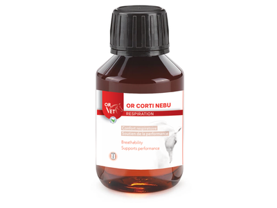 OR CORTI NEBU