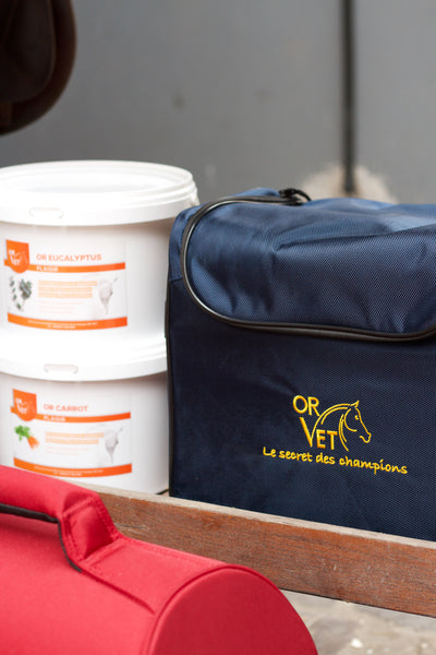 OR BAG - Sac de rangement pour produits