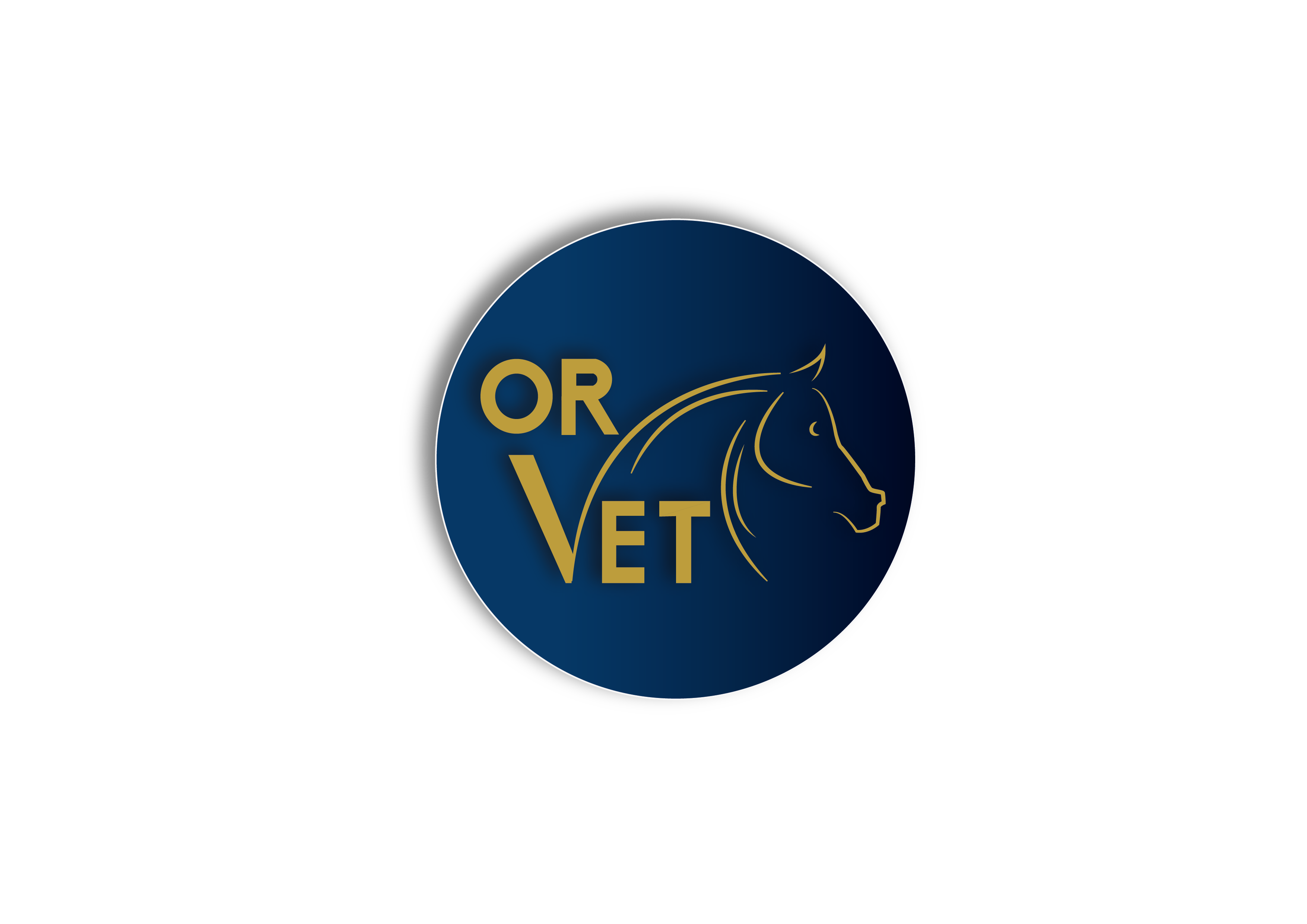 Compl ments Pour L quilibre motionnel Du Cheval Or Vet compl-ments-pour-l-quilibre-motionnel-du-cheval-or-vet